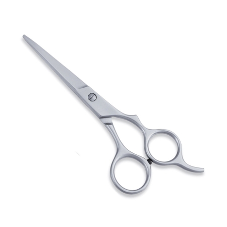 Economy Hair Scissors